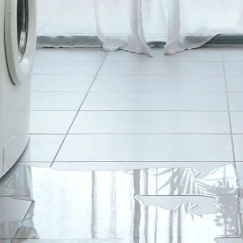 Appliance Leak Cleanup in Boyette, FL