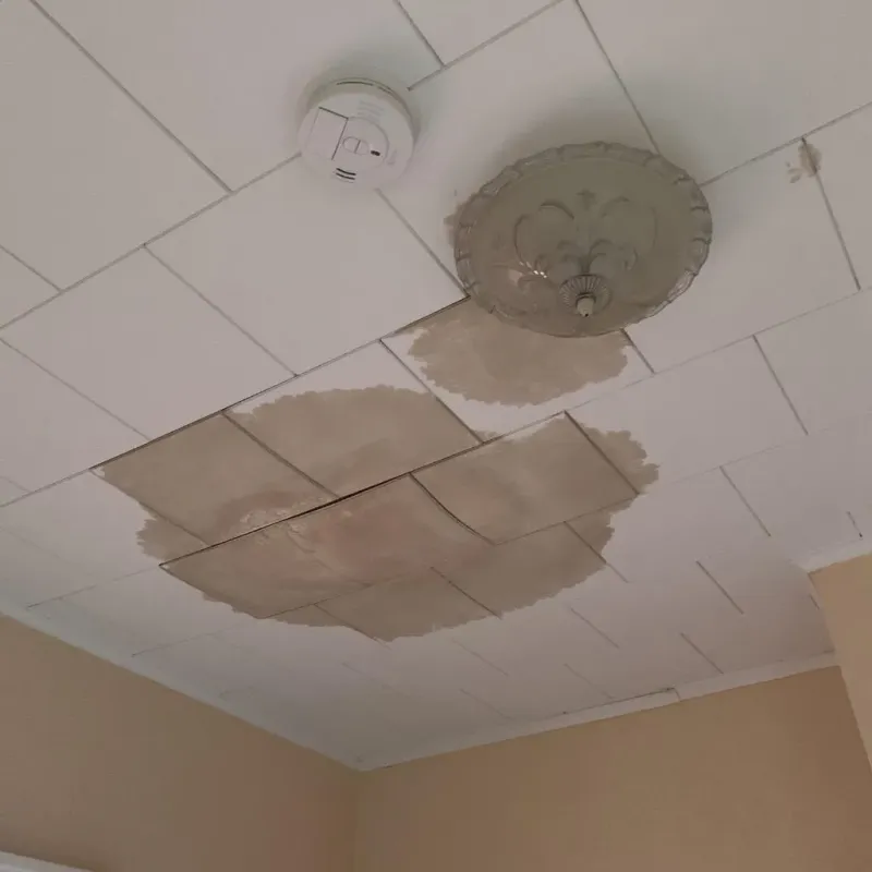 Ceiling Water Damage Repair in Boyette, FL