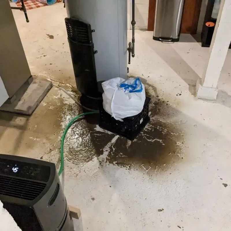 Sewage Backup Cleanup Service in Boyette, FL
